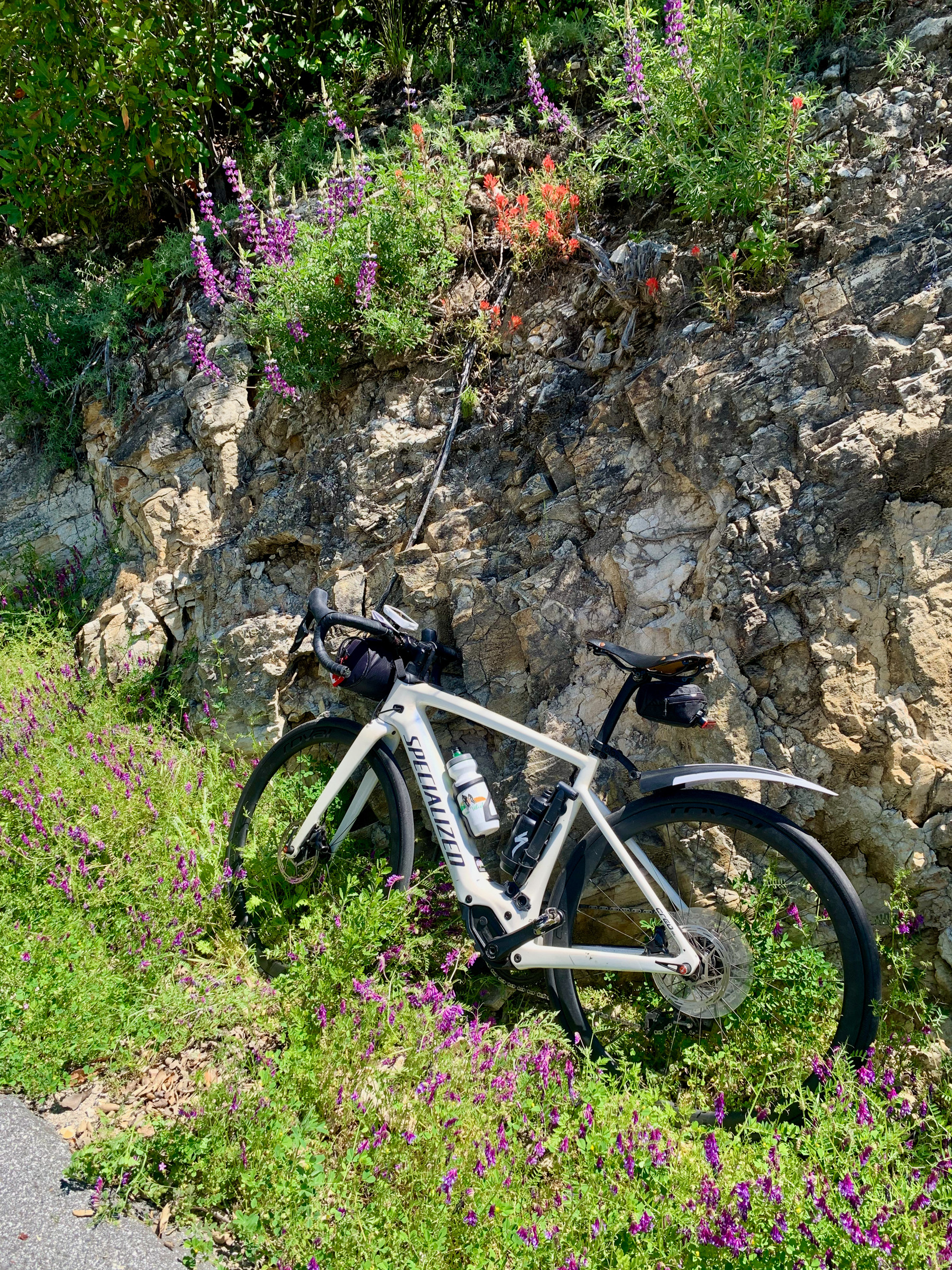 Among the flowers.jpg